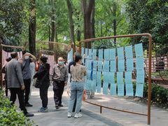 -人民公园-相亲角