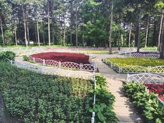 -黑龙江省森林植物园