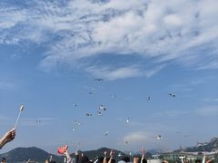 -海驴岛(荣成市)