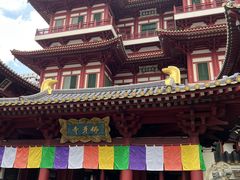 -新加坡佛牙寺龙华院