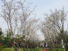 -新江湾城公园