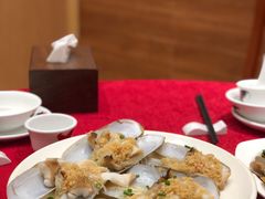 蒜蓉粉丝蒸贵妃蚌-抱德·潮汕味(敦和店原惠城鱼仔)