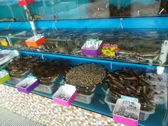 -港畔赶海蒸汽海鲜烧烤自助(仙螺岛店)