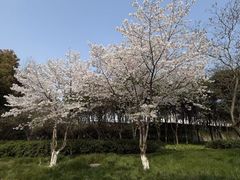 -长广溪湿地公园