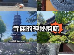 -龙华寺