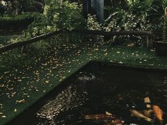 -Ohkajhu Organic Farm Sansai