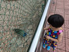 -南京金牛湖风景区