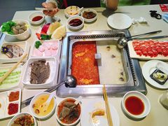 -海底捞火锅(吾悦国际广场店)