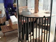-Cetus coffee鲸鱼座咖啡·拼豆(二仙桥公园店)