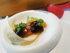 -蝶舍·MAISON PAPILLON