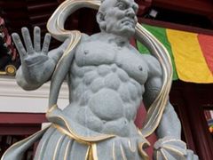-新加坡佛牙寺龙华院
