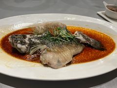 清蒸龙趸鱼-维园悦谱·海派家常菜(乌鲁木齐南路店)