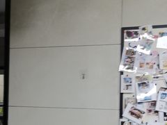 -半岛宠物医院24小时(白果林店)