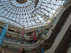 -高新活力汇Vitality