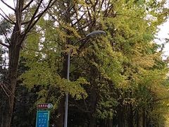 -四川大学(望江校区)