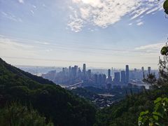 -南山植物园