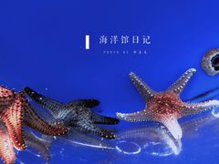 -西安曲江海洋极地公园