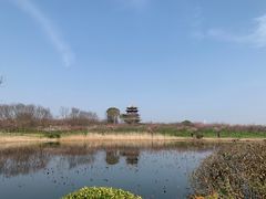 -上海海湾国家森林公园
