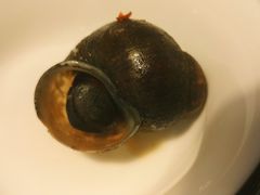 -食爺炭炉鸡煲·烧烤