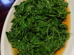 -三林本帮馆(中林街店)