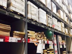 -宜家家居(哈尔滨商场店)