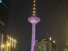 -辽宁电视塔