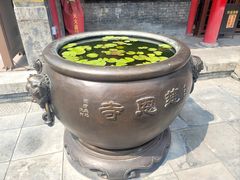 -慈恩寺