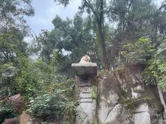 -乐和乐都主题乐园