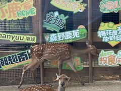 -南戴河国际娱乐中心