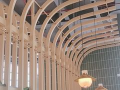 -原味四季椰子鸡(平湖天虹店)