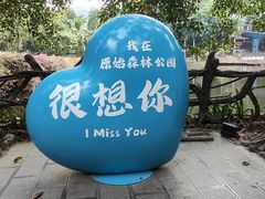 -西双版纳原始森林公园