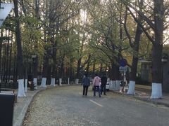 -八大关景区
