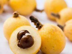 -塘栖枇杷特色园区