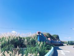 -枸杞岛