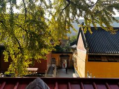 -宝通禅寺