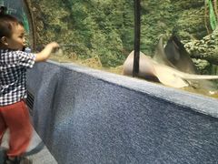-南昌海洋公园