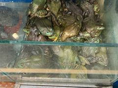 -岳各庄批发市场(西四环中路店)