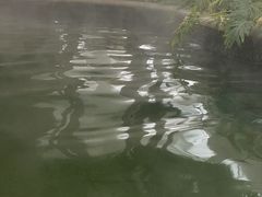 -太白山御龙湾温泉