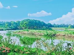 -奉贤海滩