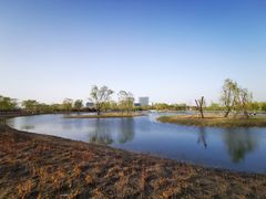 -大兴滨河森林公园