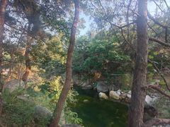 -沂蒙山旅游区云蒙景区(蒙山国家森林公园)