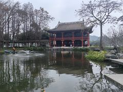 -顺峰山公园
