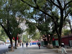 -南岳衡山风景名胜区-南岳大庙