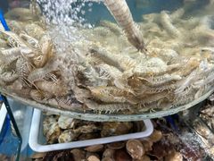 -鑫渔港海鲜本地菜·山海关浑锅(东戴河店)