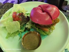 -Famous肥猫墨西哥音乐餐吧(五棵松华熙LIVE店)