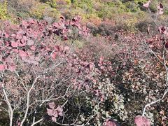 -周口店坡峰岭风景区