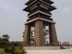 景点-大湾区中央湿地公园