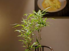 -拂晓山房·私房川菜(西门店)