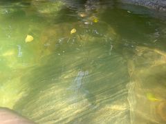 -湖泉半山温泉(湖泉生态园)