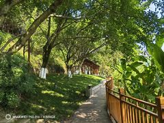 -重庆彩云湖湿地公园